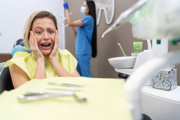 Best Emergency Denture Repair in Elfers, FL